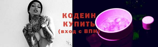 прущий лед Алзамай