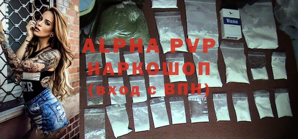 прущий лед Алзамай
