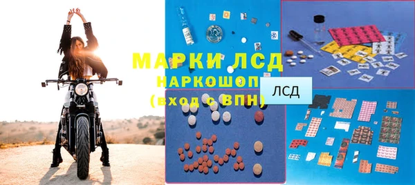 прущий лед Алзамай