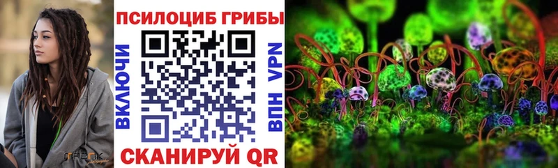 купить наркоту  Похвистнево  Псилоцибиновые грибы Magic Shrooms 
